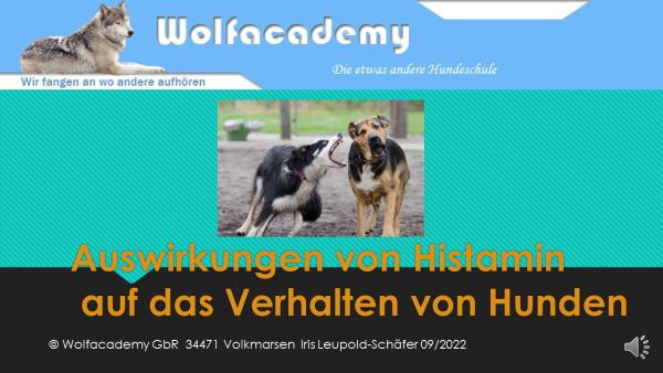 Auswirkungen von Histamin auf das Verhalten von Hunden
